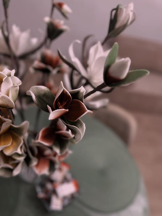 옐레니아구라 Loft Przy Placu Niepodleglosci 아파트 외부 사진