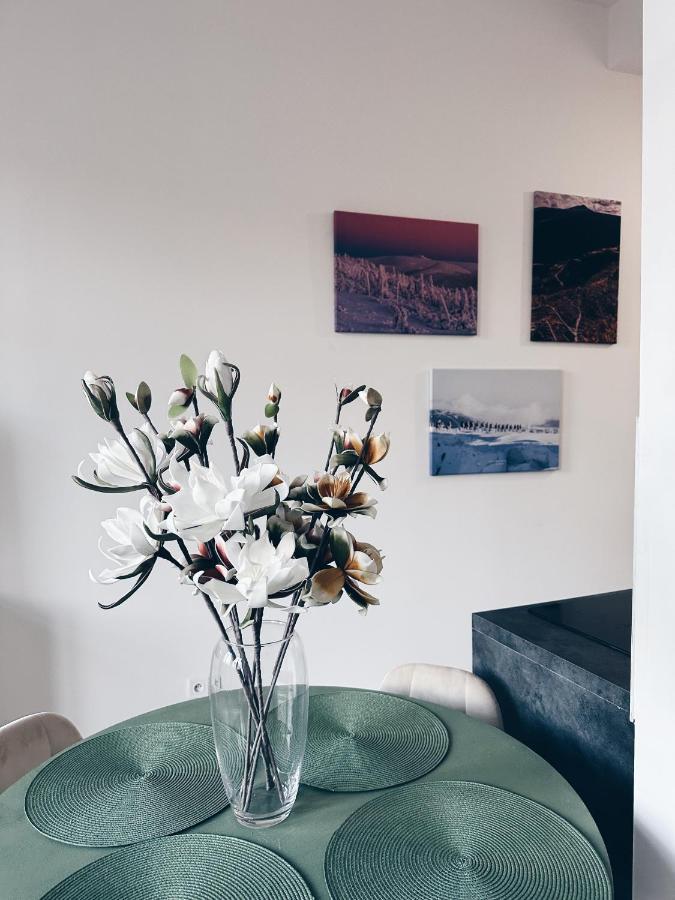 옐레니아구라 Loft Przy Placu Niepodleglosci 아파트 외부 사진